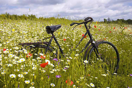 چه دوچرخه‌ای برای گشت‌وگذار بهاری بخریم؟